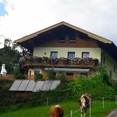 Landhaus Katharina Bischofshofen Exteriör bild