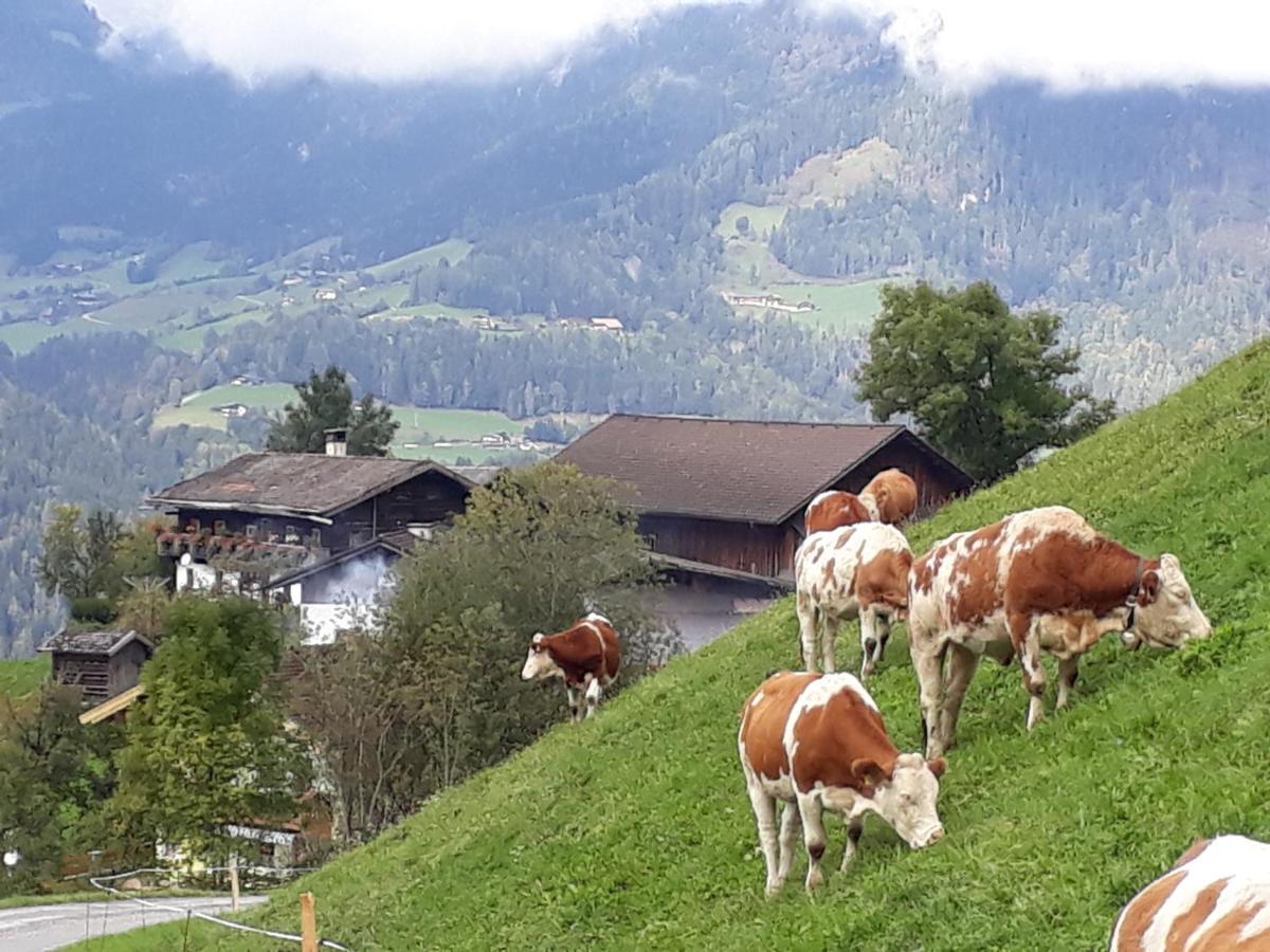 Landhaus Katharina Bischofshofen Exteriör bild